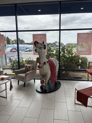 The Peruvian Spot by null