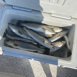 Fishing Florida Flats