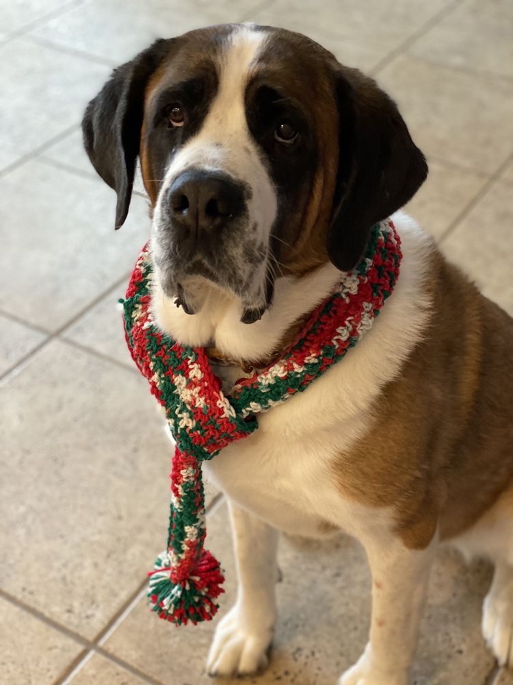 WEST SHORE ANIMAL HOSPITAL Updated August 2024 2558 N Hwy 16, Denver, North Carolina