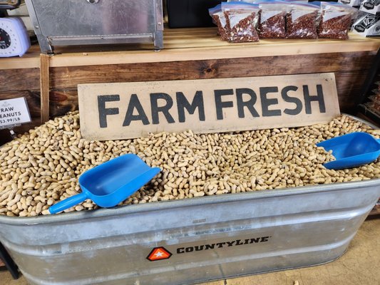 Durbin Farms Market by null