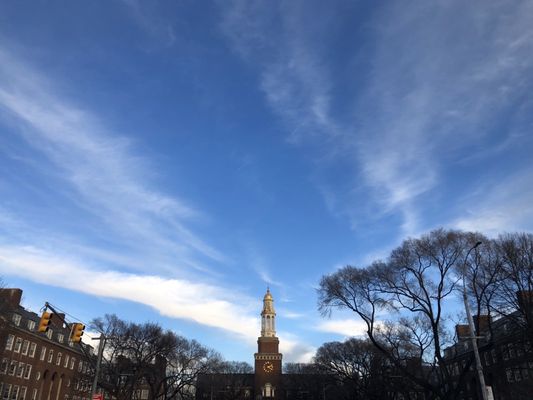 Brooklyn College by null