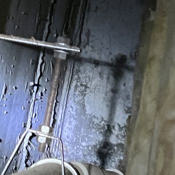 Rain and Shine Masonry and Construction - mold - Roofing Near Me - Belmont, Massachusetts