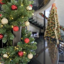 Wishes Lighting & Decor - Christmas Decor at Cardinal Club in Bixby