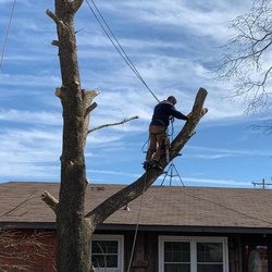 Affordable Tree Service