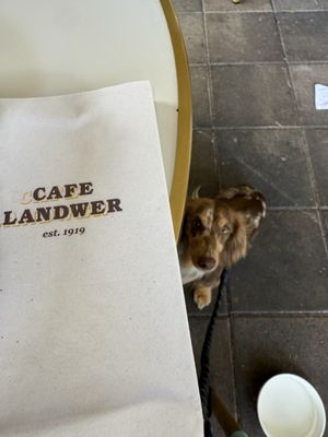 Cafe Landwer by null