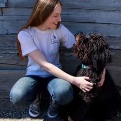 Grandma's Attic - Meet Olive the Attics shop dog!