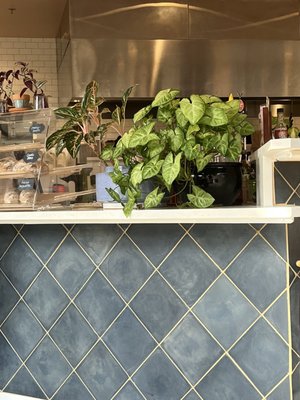 The Stockpot Norfolk by null