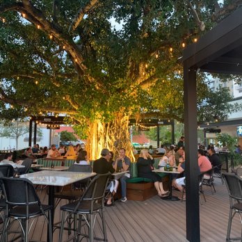 South Bar & Kitchen - Garden area - Cajun/Creole Near Me - Pompano Beach, Florida South Bar & Kitchen - Garden area - Cajun/Creole Near Me - Pompano Beach, Florida
