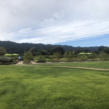 Brix - The view from our outside table - New American Near Me - Napa, California Brix - The view from our outside table - New American Near Me - Napa, California