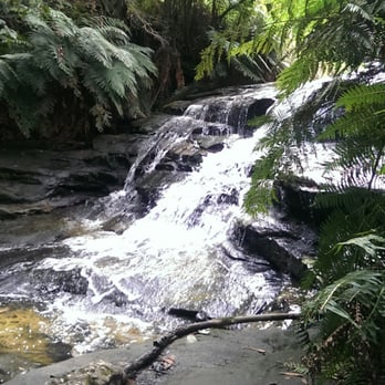 Leura Cascades - Hiking Near Me - Leura, NSW