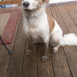 user provided Cape Cod Potato Chips photo