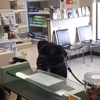 Greenbank Veterinary Services - Here for my appointment, please tell my vet - Veterinarians Near Me - Edmonton, Alberta