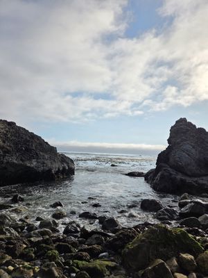 Kirk Creek Campground by null