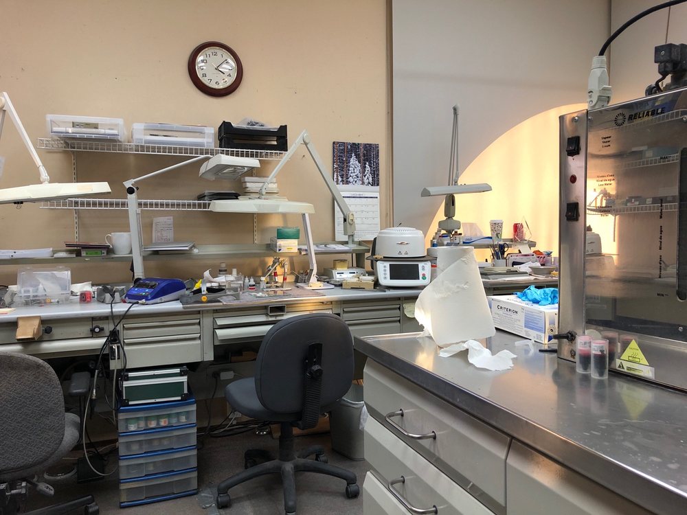 CALIFORNIA DENTAL ARTS 33 Photos 20421 Pacifica Dr, Cupertino