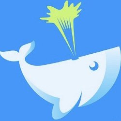 Blue Whale Services