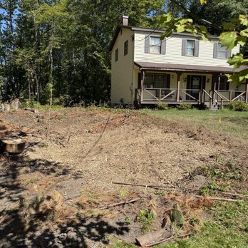 5D Stump and Tree - Tree Services Near Me - Parish, New York 5D Stump and Tree - Tree Services Near Me - Parish, New York