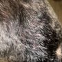 Photo of Happy Tails