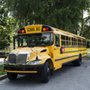 Photo of Cypress Tree Transportation