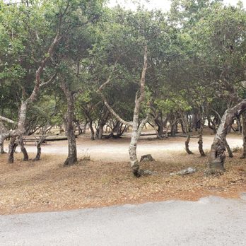Veteran's Memorial Park - Camping sites - Parks Near Me - Monterey, California