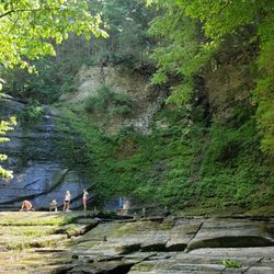 Sweedler Preserve