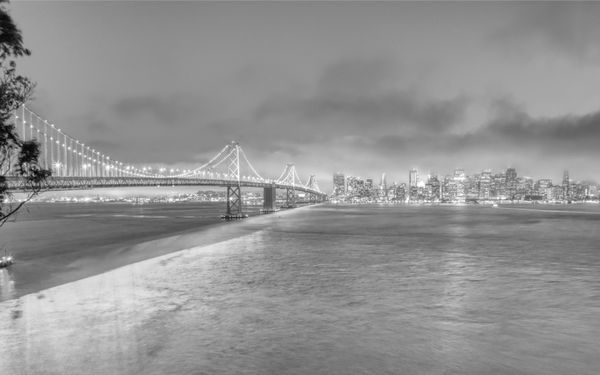 Salesforce Tower by null