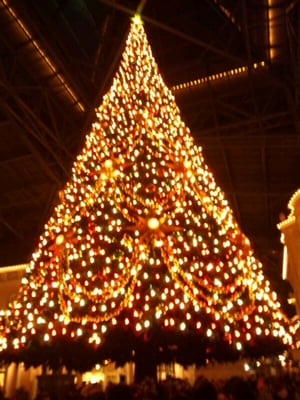 Tokyo Disneyland by null