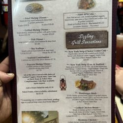 The Brown Lantern