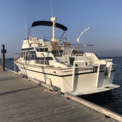 Cutthroat Cruises