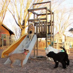 Kingsmark Kennels Gift Greeting Cards Email, Text or Print