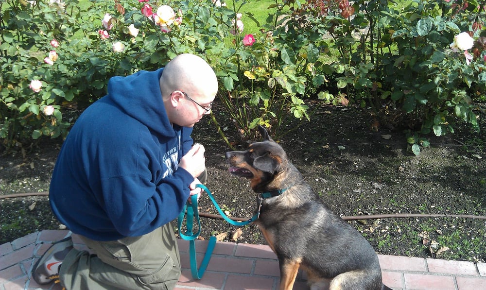 DOG GONE GOOD TRAINING Updated October 2024 5624 S Durango St