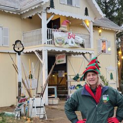 Mr Tree Farm