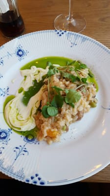 Marienlyst beach hotel by null