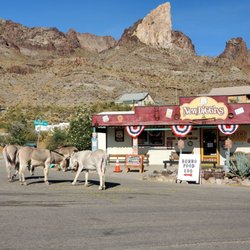 New Diggin's - Donkeys!