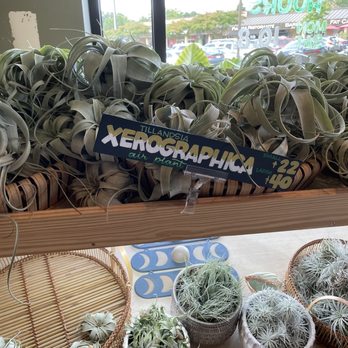 PlantHouse - Nurseries & Gardening Near Me - Charlotte, North Carolina