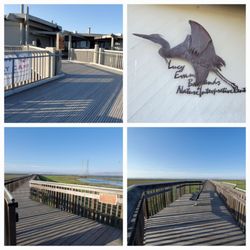 Lucy Evan Baylands Nature Interpretive Center