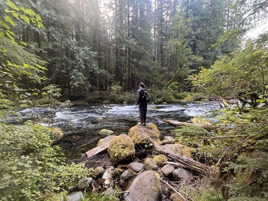 Tamolitch Falls (Blue Pool) by null