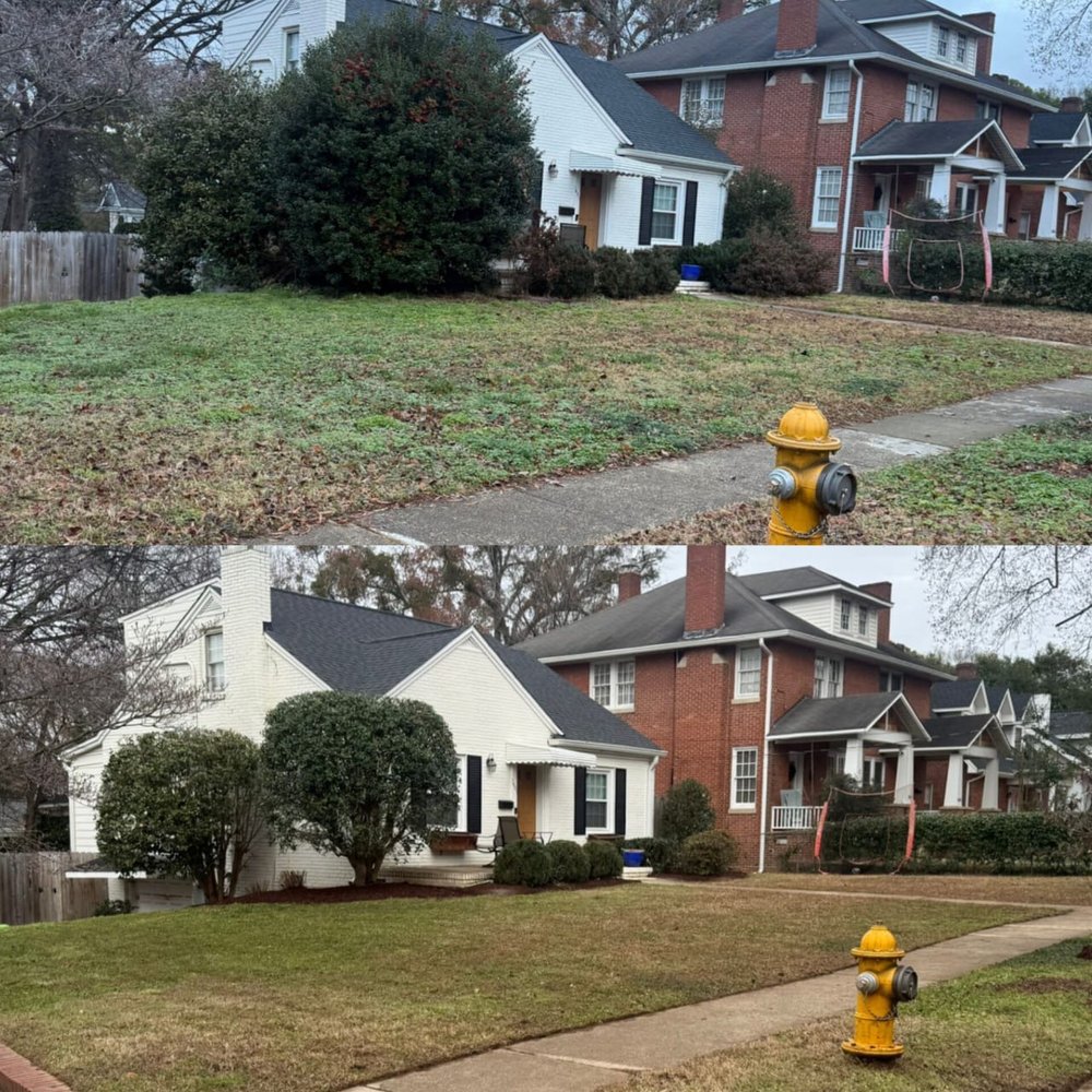 CR Landscape - tree service in Raleigh, NC