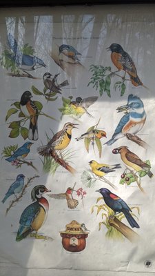 Ferry Beach State Park by null