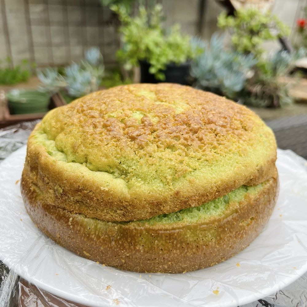 CA Bakehouse - Banh Bo (Honeycomb Cake) - wrapped in Saran Wrap (8"plate) - Bakeries Near Me - San Jose, California