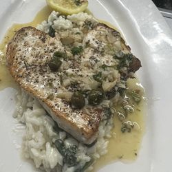 Paolo Ristorante - Swordfish over lemon spinach risotto picatta sauce
