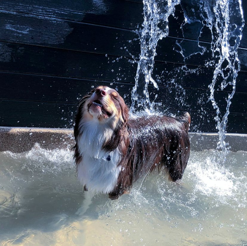 THE VILLAGE PUP 44 Photos & 86 Reviews 78050 Calle Cadiz, La Quinta