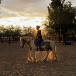Heart of the Horse