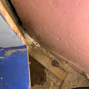 Red Hot Drain - Still leaking into ground even though "it was fixed..." - Plumbing Near Me Red Hot Drain - Still leaking into ground even though "it was fixed..." - Plumbing Near Me