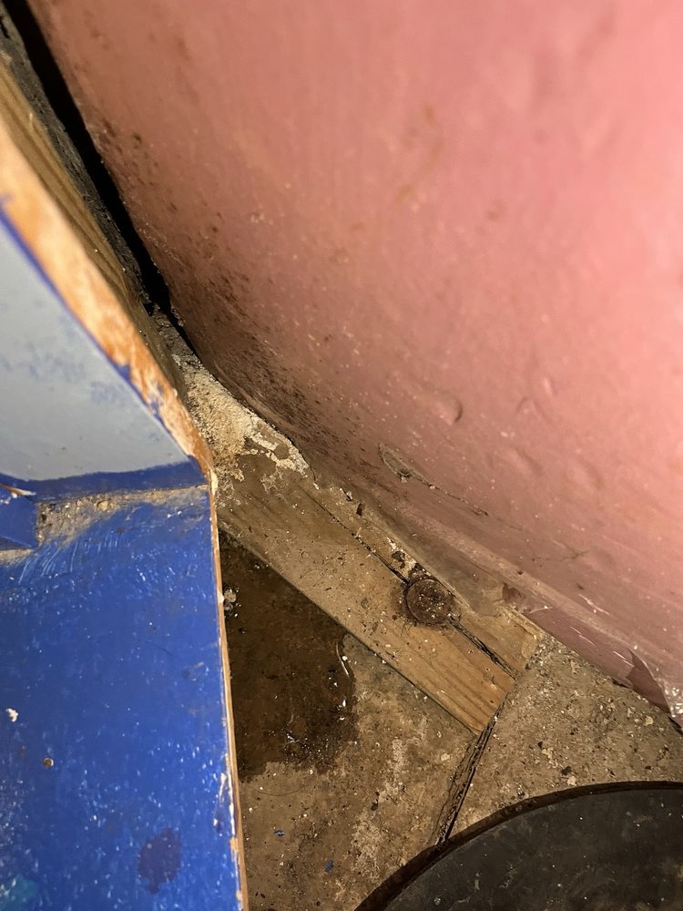 Slide of Red Hot Drain