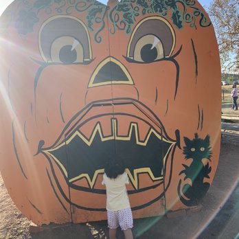 Joan's Farm & Pumpkin Patch - Pumpkin Patches Near Me - Livermore, California