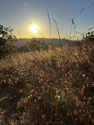 Ernest E. Debs Regional Park by null