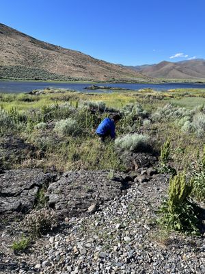 Craters of the Moon National Monument by null