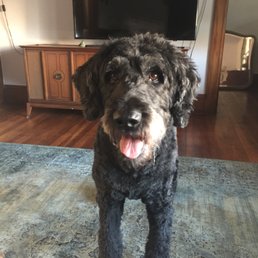 Lovin' my new doo! Lovin' my new doo!