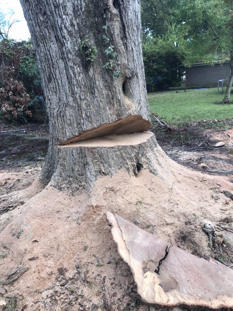 Slide of People Place's Enterprise