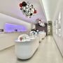Photo of The Travel Agency